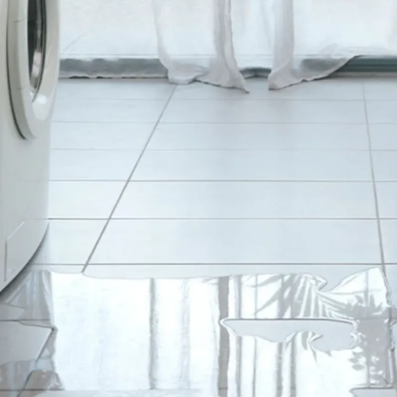Appliance Leak Cleanup in Fraser, MI