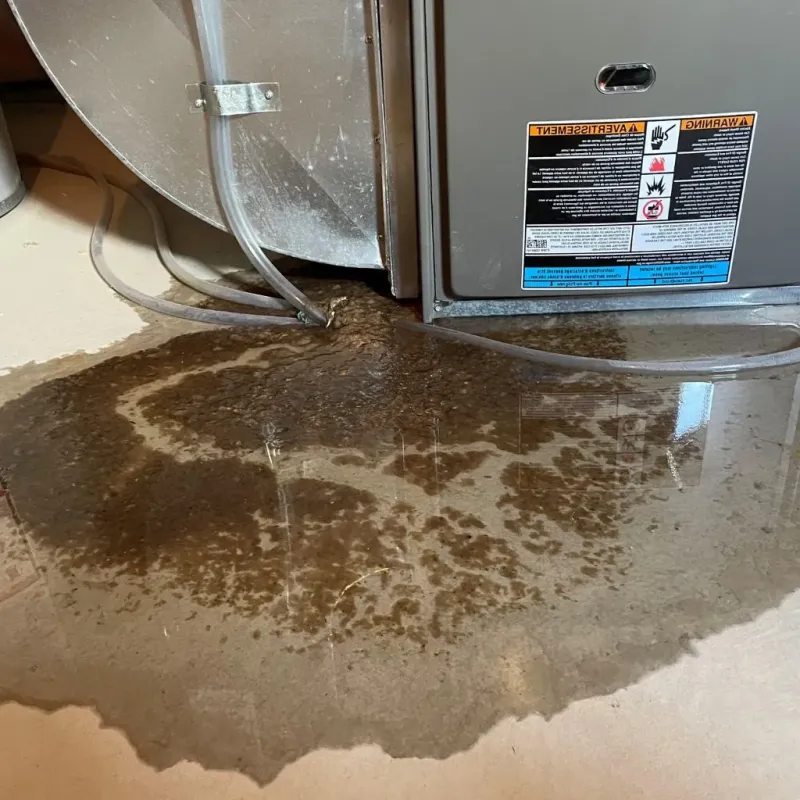 Pipe Burst and Leak Restoration in Fraser, MI