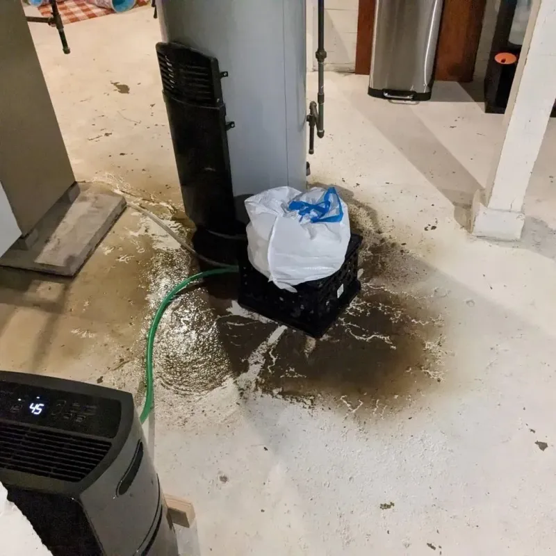 Sewage Backup Cleanup Service in Fraser, MI